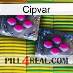 Cipvar 01